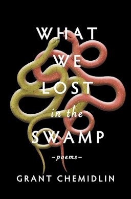 Book cover for "What We Lost in the Swamp"